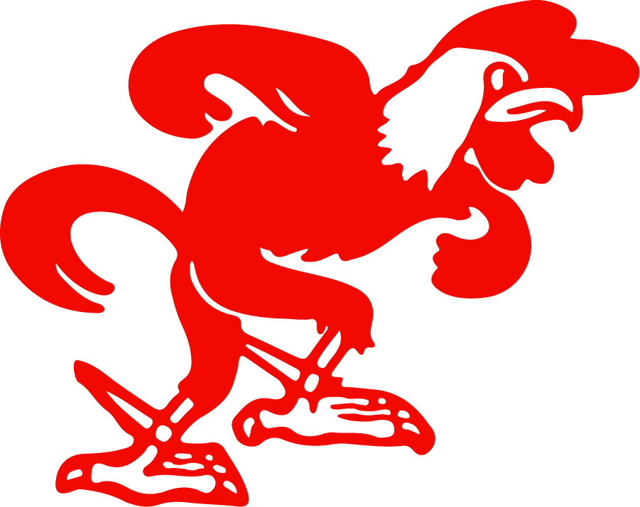 Jacksonville State Gamecocks 1956-1972 Primary Logo DIY iron on transfer (heat transfer)
